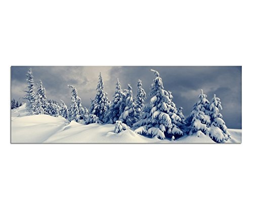 Wandbild auf Leinwand als Panorama in 150x50cm Winterlandschaft Bäume Schnee Wolken