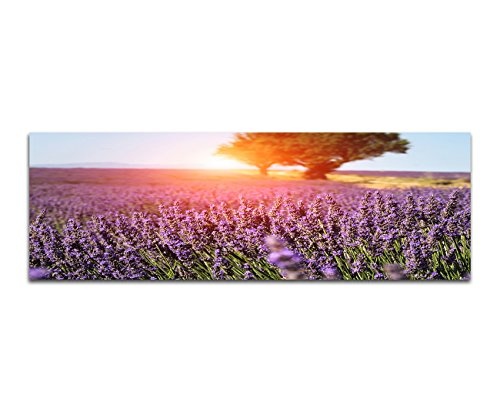 Wandbild auf Leinwand als Panorama in 150x50cm Provence Lavendelfeld Baum Sommer Sonne