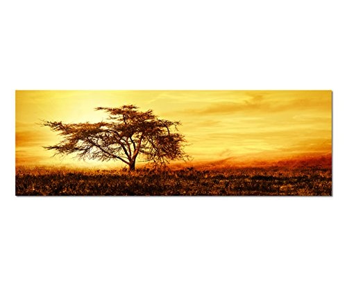 Wandbild auf Leinwand als Panorama in 150x50cm Afrika Baum Silhouette Sonnenuntergang