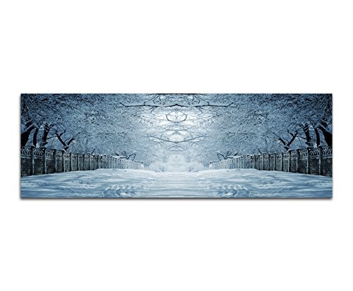 Wandbild auf Leinwand als Panorama in 150x50cm Winterlandschaft Bäume Weg Baumtunnel Schnee