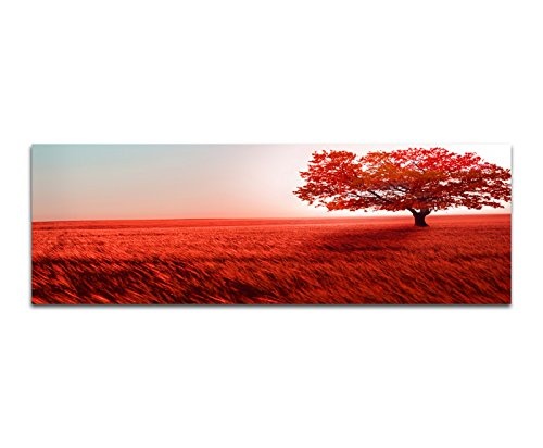 Wandbild auf Leinwand als Panorama in 150x50cm Landschaft Wiese Baum rot Licht
