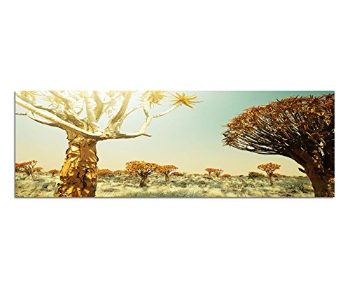 Wandbild auf Leinwand als Panorama in 150x50cm Afrika Wiese Bäume Sonnenstrahlen Wildnis