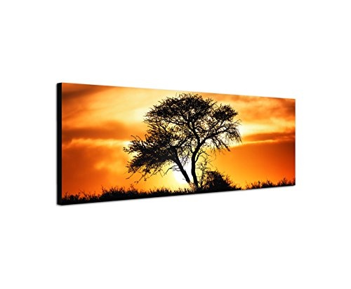 Wandbild auf Leinwand als Panorama in 150x50cm Afrika Kalahari Baum Sonnenuntergang