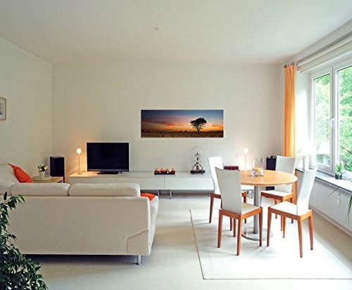 Wandbild auf Leinwand als Panorama in 150x50cm Kalahari Wüste Baum Abendrot