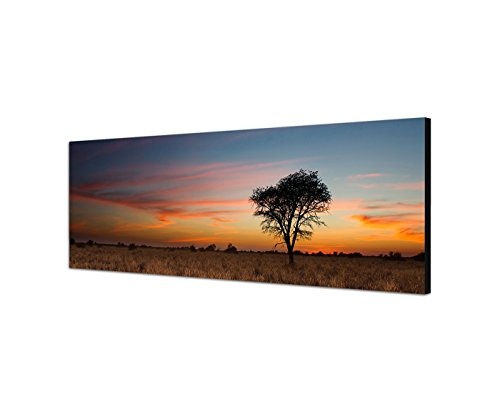 Wandbild auf Leinwand als Panorama in 150x50cm Kalahari Wüste Baum Abendrot