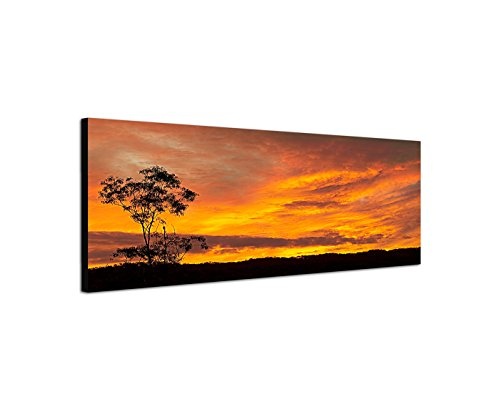 Wandbild auf Leinwand als Panorama in 150x50cm Australien Wiese Baum Sonnenuntergang