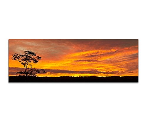 Wandbild auf Leinwand als Panorama in 150x50cm Australien Wiese Baum Sonnenuntergang