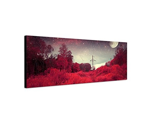 Wandbild auf Leinwand als Panorama in 150x50cm Wald Bäume Büsche Nacht Mond Sterne