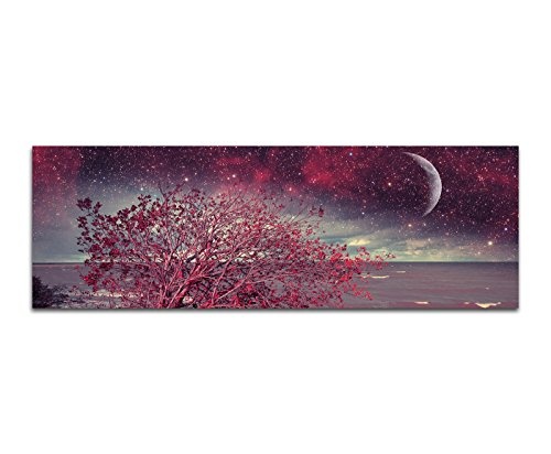 Wandbild auf Leinwand als Panorama in 150x50cm Meer Küste Busch Nacht Sterne Mond