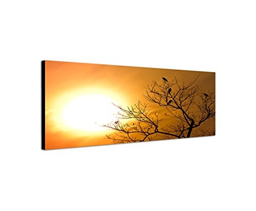 XXL Wandbild 150x50cm Nepal Baum Vögel Sonnenuntergang