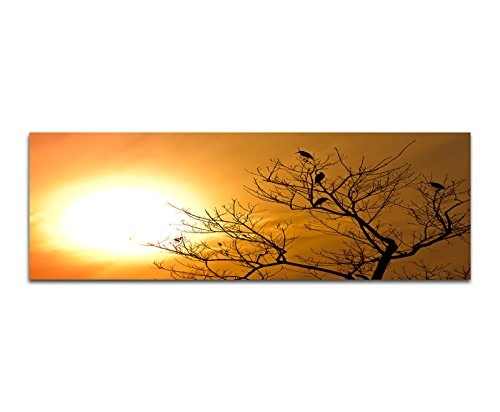 XXL Wandbild 150x50cm Nepal Baum Vögel Sonnenuntergang