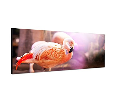 Wandbild auf Leinwand als Panorama in 150x50cm Flamingo Vogel pink