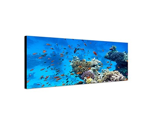 Wandbild auf Leinwand als Panorama in 150x50cm Meer Riff Korallen Fische