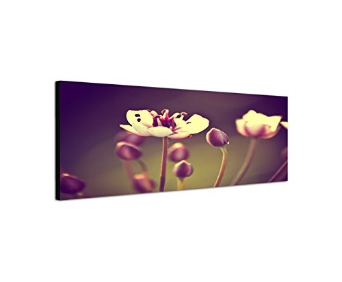 Wandbild auf Leinwand als Panorama in 150x50cm Blüten Blumen Vintage