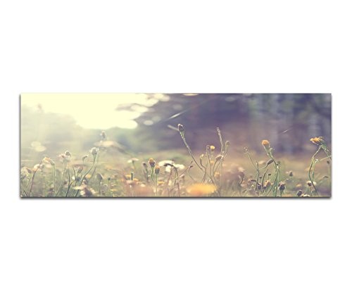 Wandbild auf Leinwand als Panorama in 150x50cm Wiese Wildblumen Frühling Sonnenlicht Vintage