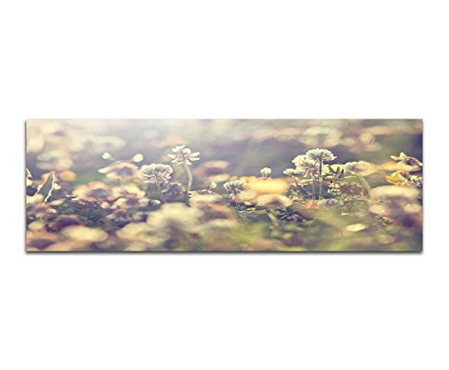 Wandbild auf Leinwand als Panorama in 150x50cm Blumenwiese Frühling Retro Vintage