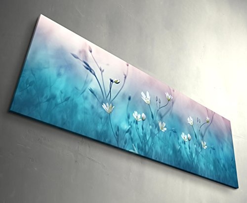 Paul Sinus Art Leinwandbilder | Bilder Leinwand 120x40cm weiße Kleine Blumen auf türkiser Wiese