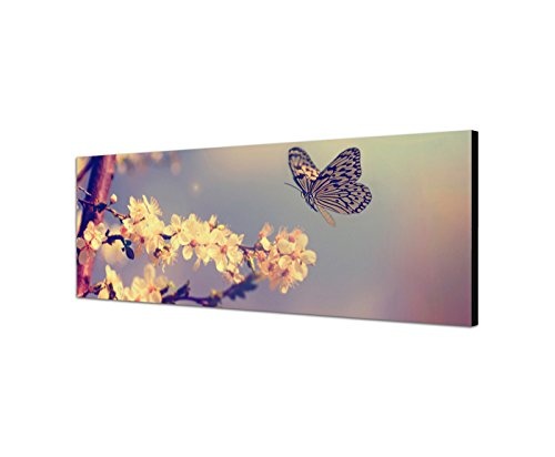 Wandbild auf Leinwand als Panorama in 150x50cm Kirschblüten Schmetterling Frühling Vintage
