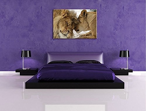 Kuschelnde Löwen Format: 120x80 cm auf Leinwand, XXL riesige Bilder fertig gerahmt mit Keilrahmen