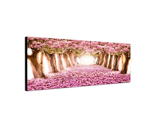 Wandbild auf Leinwand als Panorama in 150x50cm Allee Bäume Blüten Blütentunnel rosa