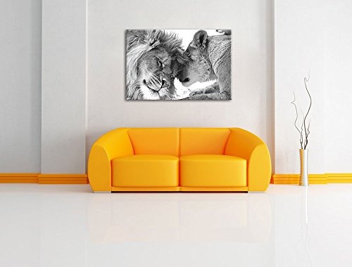 Kuschelnde Löwen Format: 60x80 cm auf Leinwand, XXL riesige Bilder fertig gerahmt mit Keilrahmen ...