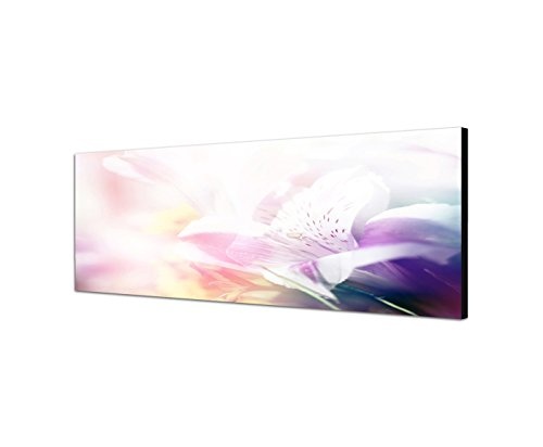 Wandbild auf Leinwand als Panorama in 150x50cm Blüte Blume Nahaufnahme Farbfilter Licht