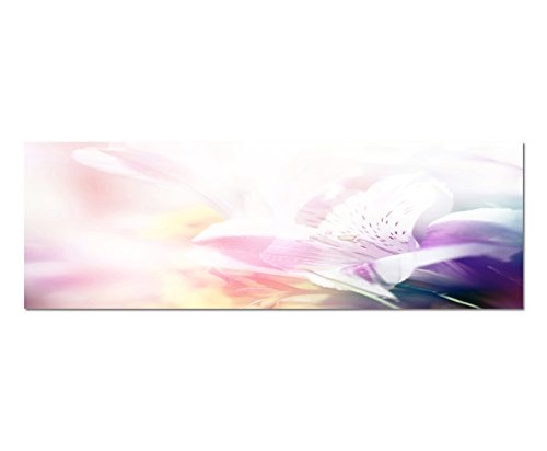 Wandbild auf Leinwand als Panorama in 150x50cm Blüte Blume Nahaufnahme Farbfilter Licht