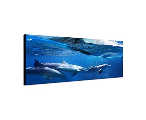 Wandbild auf Leinwand als Panorama in 150x50cm Ozean Welle Delfine Unterwasser