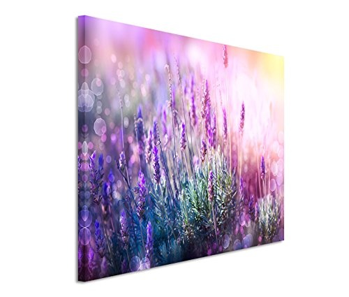 Modernes Bild 120x80cm Naturfotografie - Blühender Lavendel in der Sonne