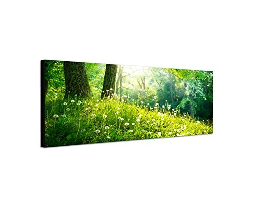 Wandbild auf Leinwand als Panorama in 150x50cm Wald Wiese Pusteblumen Frühling Sonnenlicht