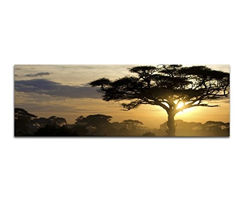 Wandbild auf Leinwand als Panorama in 150x50cm Afrika Landschaft Bäume Sonnenuntergang