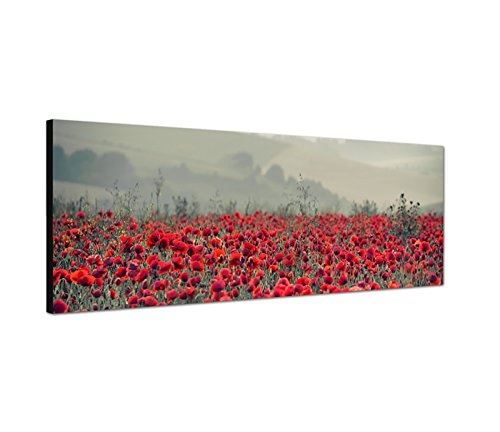 Wandbild auf Leinwand als Panorama in 150x50cm Mohnblumen Feld Nebel Sonnenaufgang