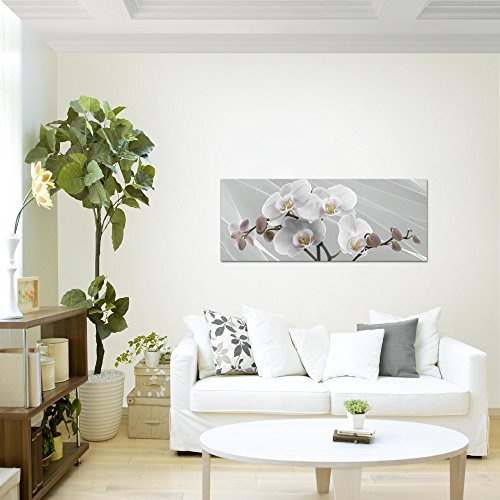 Bilder Blumen Orchidee Wandbild 100 x 40 cm Vlies - Leinwand Bild XXL Format Wandbilder Wohnzimmer Wohnung Deko Kunstdrucke Grau 1 Teilig - Made IN Germany - Fertig zum Aufhängen 203012c