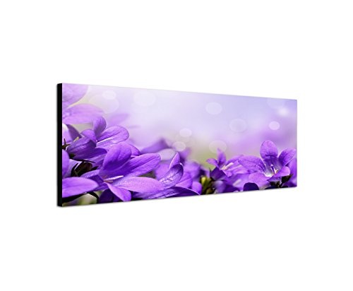 XXL Wandbild 150x50cm Glockenblumen Blüten lila