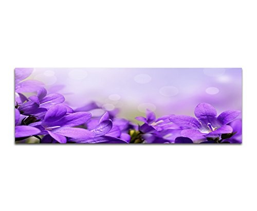 XXL Wandbild 150x50cm Glockenblumen Blüten lila