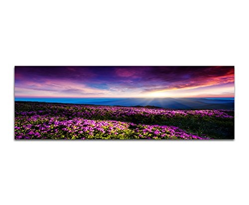 XXL Wandbild 150x50cm Ukraine Blumenwiese Berge Sonnenuntergang