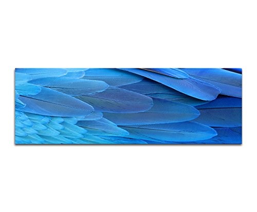 XXL Wandbild 150x50cm Flügel Federn Großaufnahme blau