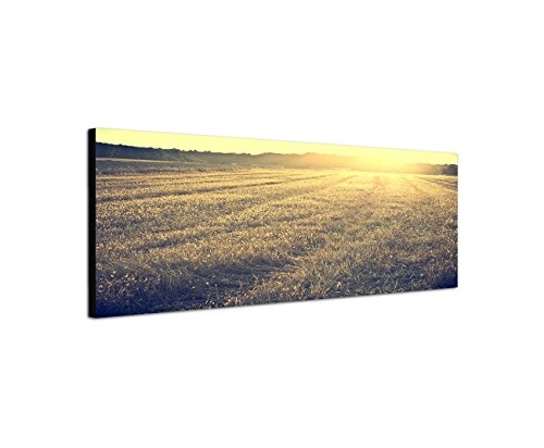 XXL Wandbild 150x50cm Feld Wiese Spätsommer Abendsonne Vintage