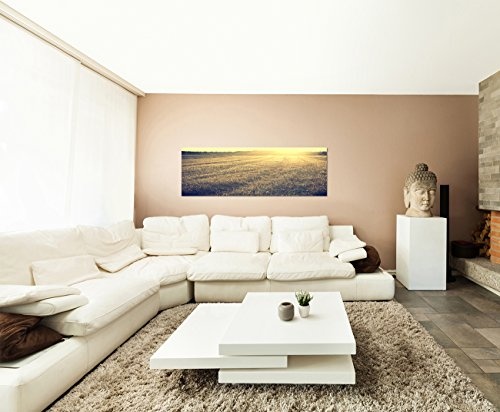 XXL Wandbild 150x50cm Feld Wiese Spätsommer Abendsonne Vintage