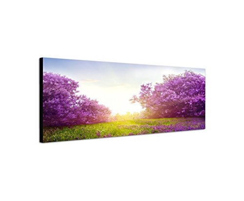 XXL Wandbild 150x50cm Wiese Sträucher Blumen Frühling Sonnenlicht