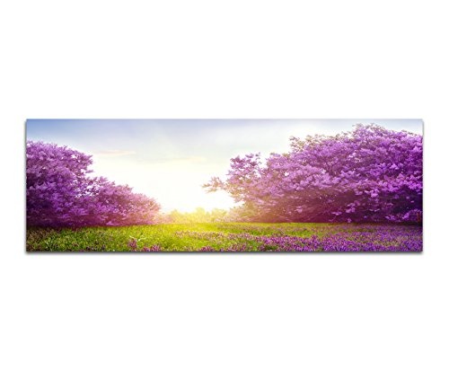 XXL Wandbild 150x50cm Wiese Sträucher Blumen Frühling Sonnenlicht