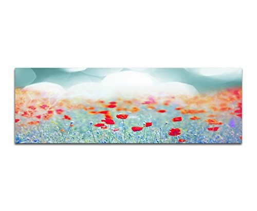 XXL Wandbild 150x50cm Mohnblumen Wiese Sommer Sonnenuntergang