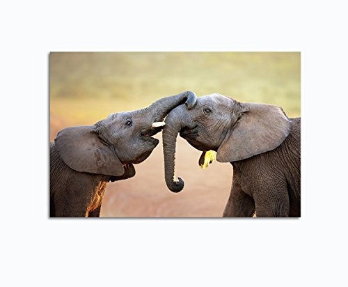 Leinwandbild Afrika Zwei liebende Elefanten auf Leinwand und Keilrahmen. Beste Qualität, handgefertigt in Deutschland! 120x80cm