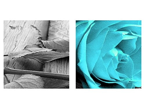Bilder Blumen Rose Wandbild Vlies - Leinwand Bild XXL Format Wandbilder Wohnzimmer Wohnung Deko Kunstdrucke Türkis 1 Teilig - MADE IN GERMANY - Fertig zum Aufhängen 204412c