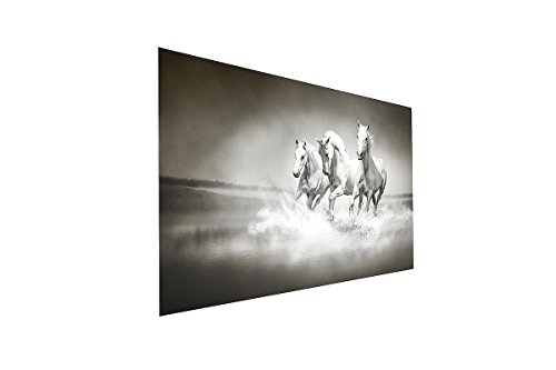 Leinwandbild 3 weiße Pferde auf Leinwand und Keilrahmen. Beste Qualität, handgefertigt in Deutschland! 120x80cm