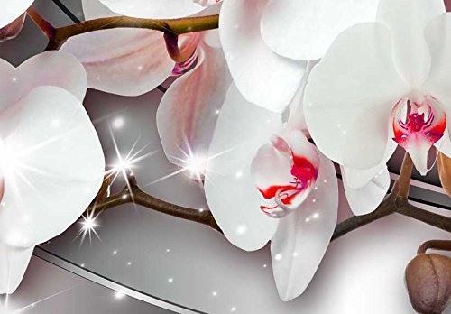 murando - Bilder Blumen Orchidee 150x50 cm Vlies Leinwandbild 1 TLG Kunstdruck modern Wandbilder XXL Wanddekoration Design Wand Bild - Orchidee Blumen b-A-0086-b-c