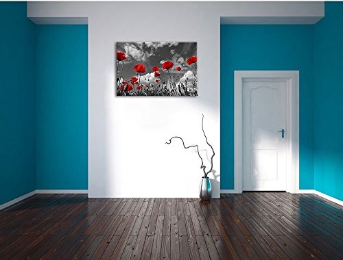 Wundervolle Wiese mit roten Blumen Schwarz/Weiß, Format: 60x40 auf Leinwand, XXL riesige Bilder fertig gerahmt mit Keilrahmen, Kunstdruck auf Wandbild mit Rahmen, günstiger als Gemälde oder Ölbild, kein Poster oder Plakat