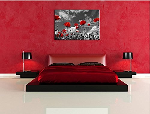 Wundervolle Wiese mit roten Blumen Schwarz/Weiß, Format: 60x40 auf Leinwand, XXL riesige Bilder fertig gerahmt mit Keilrahmen, Kunstdruck auf Wandbild mit Rahmen, günstiger als Gemälde oder Ölbild, kein Poster oder Plakat