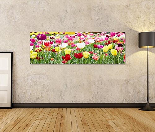 islandburner Bild Bilder auf Leinwand Blumen Frühling Tulpen Bunt Poster, Leinwandbild, Wandbilder
