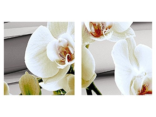 Bilder Blumen Orchidee Wandbild 70 x 40 cm Vlies - Leinwand Bild XXL Format Wandbilder Wohnzimmer Wohnung Deko Kunstdrucke Grau 1 Teilig - Made IN Germany - Fertig zum Aufhängen 202014b